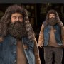 Rubeus Hagrid 2.0