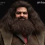 Rubeus Hagrid Hyperreal Kojun Works Standard