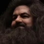 Rubeus Hagrid Hyperreal Kojun Works Standard