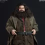 Rubeus Hagrid Hyperreal Kojun Works Standard