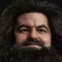 Rubeus Hagrid Hyperreal Kojun Works Standard