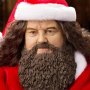 Rubeus Hagrid XMAS Special