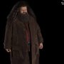 Harry Potter: Rubeus Hagrid