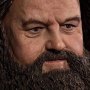 Rubeus Hagrid