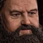 Rubeus Hagrid Deluxe