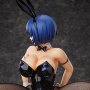 Shin Ikki Tousen: Ryomou Shimei Bunny 2nd