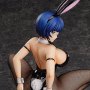 Ryomou Shimei Bunny 2nd