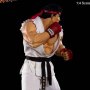 Ryu Ansatuken (Pop Culture Shock)