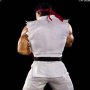 Ryu Ansatuken (Pop Culture Shock)