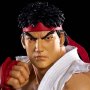 Ryu Ansatuken (Pop Culture Shock)