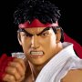 Ryu Ansatuken (Pop Culture Shock)