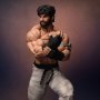 Ryu Evolution Set (Pop Culture Shock)