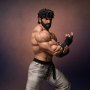 Ryu Battle (Pop Culture Shock)
