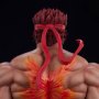 Ryu Evil Powerlifting Premier Series