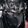 Ryu Hayabusa Ultimate Premium Masterline