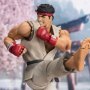 Ryu Outfit 2