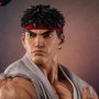 Ryu Evolution Set (Pop Culture Shock)