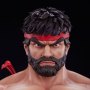 Ryu Powerlifting Battle Edition Premier Series
