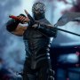 Ryu Hayabusa (Ninja Hayabusa)