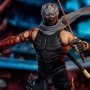 Ryu Hayabusa (Ninja Hayabusa)