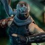 Ryu Hayabusa (Ninja Hayabusa)