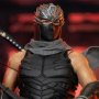 Ryu Hayabusa (Ninja Hayabusa)