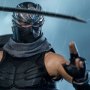 Ryu Hayabusa (Ninja Hayabusa)