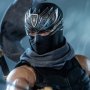 Ryu Hayabusa (Ninja Hayabusa)