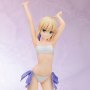 Saber Swimsuit