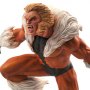 Marvel: Sabretooth Premier Collection