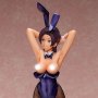 Sae Hinata Bunny