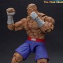 Ultra Street Fighter 2-Final Challengers: Sagat