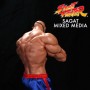 Sagat  (studio)