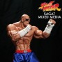 Sagat  (studio)