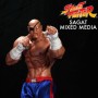 Sagat  (studio)