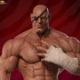 Sagat Emperor Of Muay Thai (Pop Culture Shock)