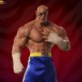 Sagat Emperor Of Muay Thai (Pop Culture Shock)