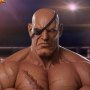 Sagat Emperor Of Muay Thai (Pop Culture Shock)
