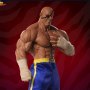 Sagat (Pop Culture Shock)