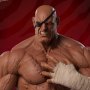 Sagat (Pop Culture Shock)