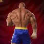 Sagat (Pop Culture Shock)