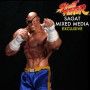 Street Fighter: Sagat (Sideshow)