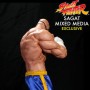 Sagat (Sideshow) (studio)