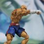 Sagat (Tamashii)