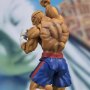 Sagat (Tamashii)