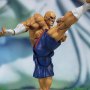 Sagat (Tamashii)