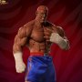 Sagat Victory (Pop Culture Shock)