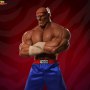 Sagat Victory (Pop Culture Shock)