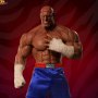 Sagat Victory (Pop Culture Shock)