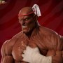 Sagat Victory (Pop Culture Shock)